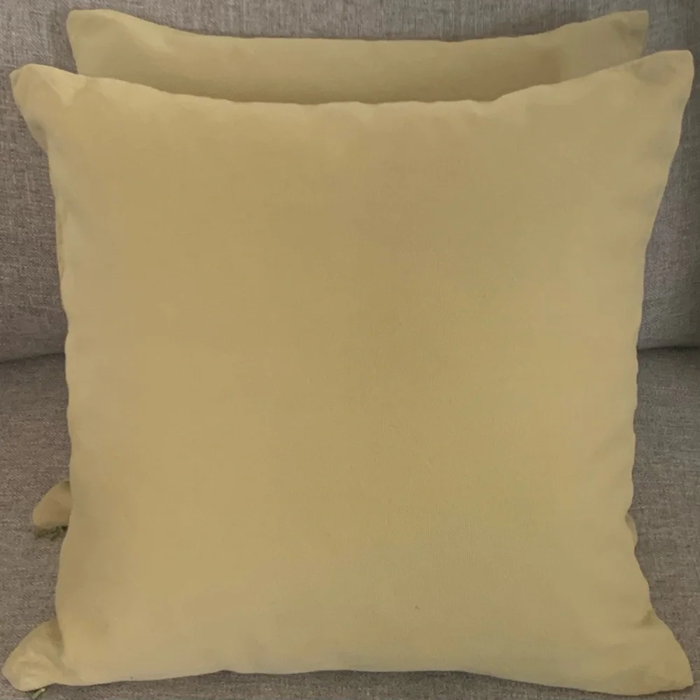 Pottery Barn Light Green Pillow Covers 18” Inserts not included